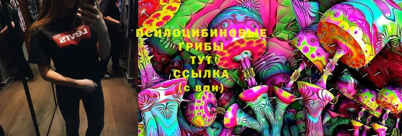 закладка  Бахчисарай  Псилоцибиновые грибы MAGIC MUSHROOMS 